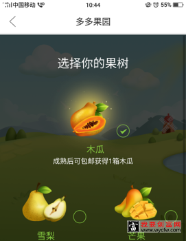 拼多多多多果园怎么收货果子？