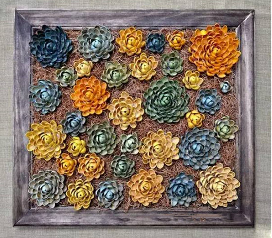 开心果壳变废为宝diy莲花教程8