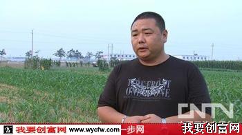 单梢洁