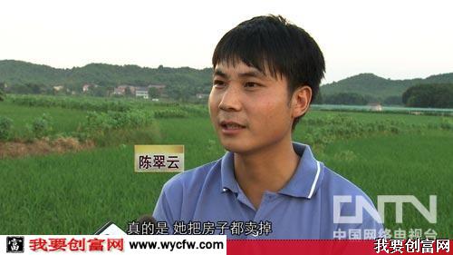 陈翠云