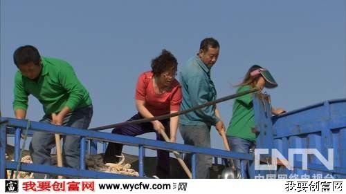 庄丽红