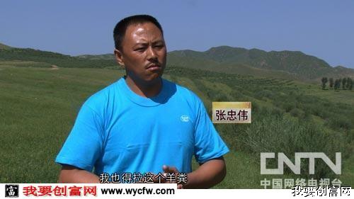 张忠伟
