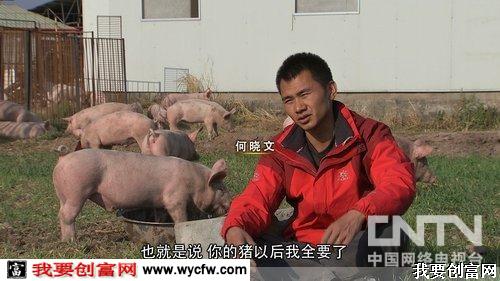 何晓文