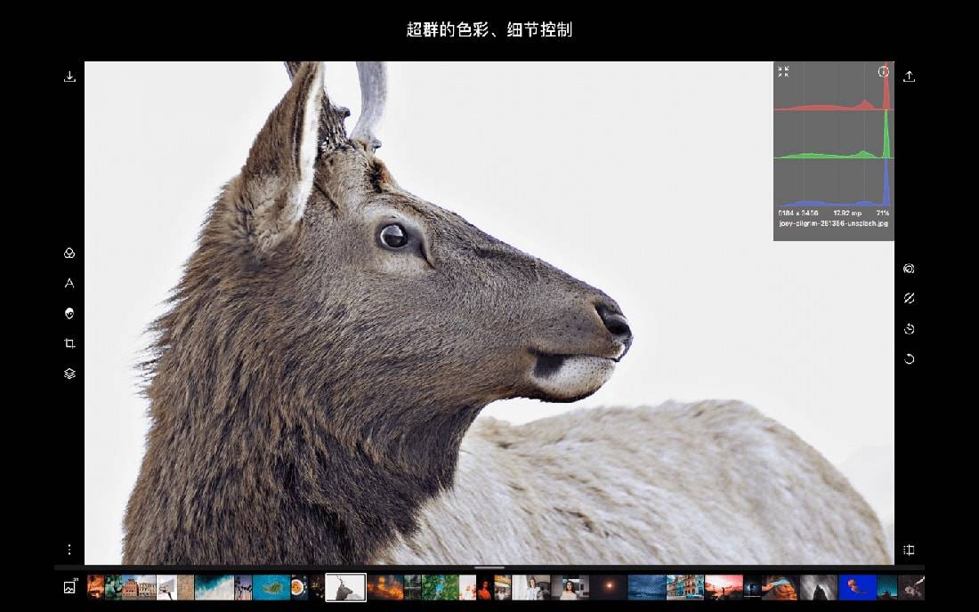 Polarr Photo Editor 5.10.16 泼辣修图