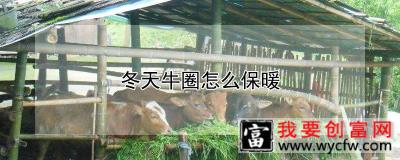 冬天牛圈怎么保暖