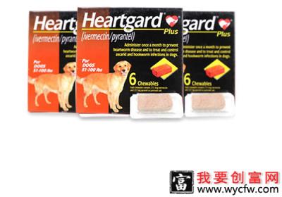狗狗驱虫药哪个牌子好一些