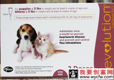 狗狗驱虫药哪个牌子好一些