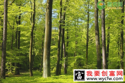 农村林地征用一般补偿多少钱一亩？