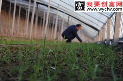 中央财政释放45亿元，补贴小农户群体