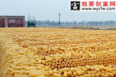 2020年粮食直补下来了吗？粮补要怎样申请？