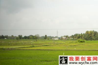 农业种植多少亩才符合补贴要求？