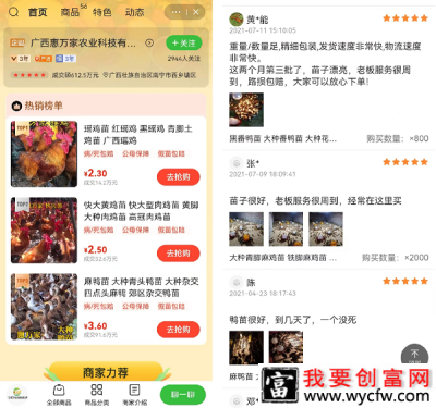 月销100万羽，“1个选择”让禽苗商家在线卖出600万