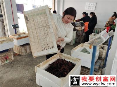 商家罗妍：从0做到500万 80后二孩妈妈成了小龙虾大户
