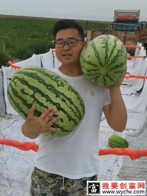 月销2000吨，跨越3000公里，90后河南小伙儿为新疆西瓜“代言”