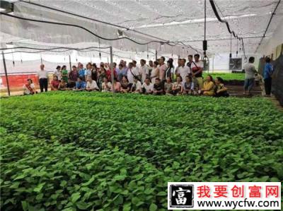 培训学员刘燕：昔日返乡创业者 今日电商新主播