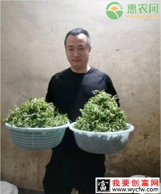 彭中跃：乡村振兴的先行者，用尽全力解决家乡电商困境