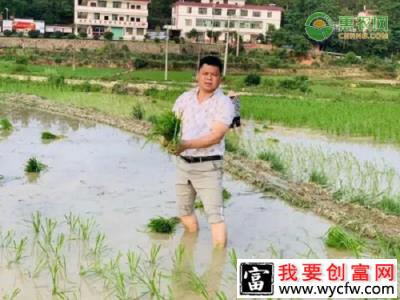 都说2020年生意不好做，他们为什么还能年入百万？