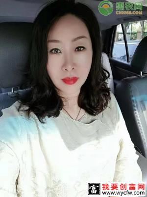 致富达人|一个东北姑娘的电商大米梦