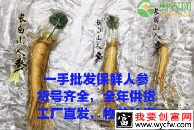 商家成功案例：这是三个关于勇气、抉择和突围的故事！