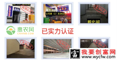 1533cdb50ff44903a186af11f7b1550e.png