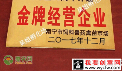 农批通效果如何？店铺成交额高吗？吴姐这么说！
