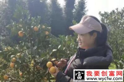 特别推荐丨从“门外汉”到电商能人，她奏响了电商致富曲