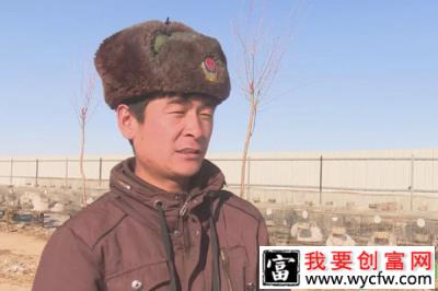 农村小伙养殖狐狸，一年可卖400多张皮，收入达16万元！