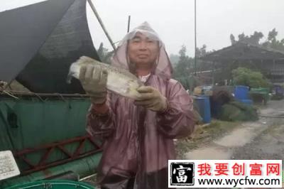 养鱼年入百万！他从“水上人家”变身养鱼行家！