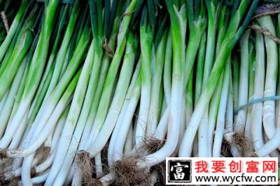大葱价格多少钱一斤？2019种植一亩大葱成本及利润分析