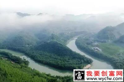 七彩山鸡啄开养殖合作社新大门，带领农民脱贫奔小康