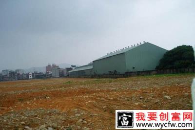 沙地变身“金土地” 种出致富新希望