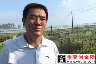 农村脱贫致富案例：饶平军和他的黑斑蛙！