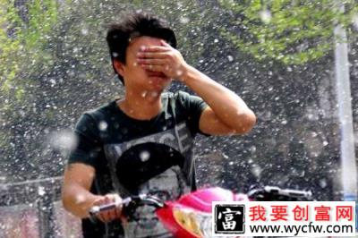 农村不让种杨树？这4种树或将替代杨树种植！