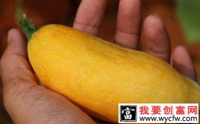 长得像老鼠还能变色？亩产上万的老鼠瓜，你敢种植吗？