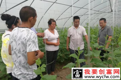 大棚种植参观