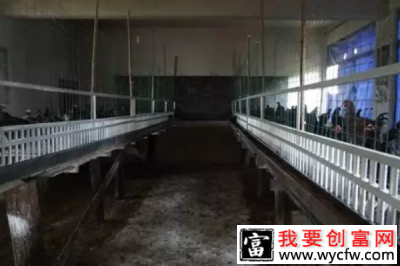 鹿坪村党建引领发展养殖业带动群众致富