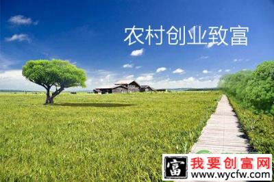 九种思路帮助农民致富