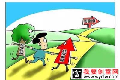 林下养殖既生态又环保，还有高效的经济发展！