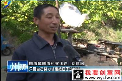 刘建国养殖土蜂的故事