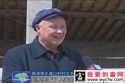 脱贫攻坚榜样：道口村发展肉牛养殖产业致富
