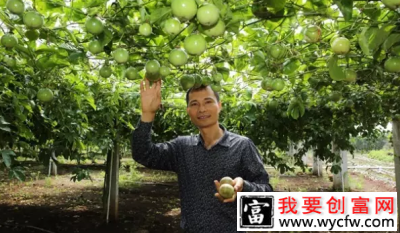 城市白领许生回乡打造生态循环农业