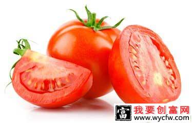 西红柿种植秘诀，蜜蜂授粉