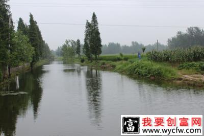 自主创业项目前景分析：且看罗甫村黄海忠如何把中草药变成“种植致富之路”