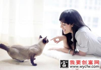 猫咪难亲近，获取猫咪信任有妙法