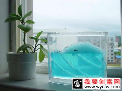 昆虫间相互交流的方法