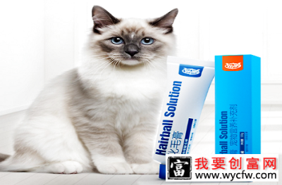 猫咪舔毛有隐患，备上一只WOWO化毛膏吧！