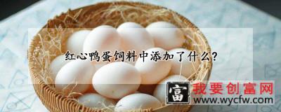 红心鸭蛋饲料中添加了什么?