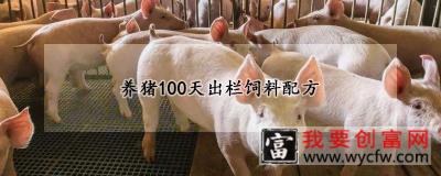 养猪100天出栏饲料配方