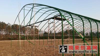 养猪大棚怎么建