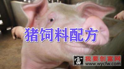 猪饲料配方